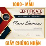 1000+ Giấy chứng nhận, bằng khen 1000+ Giấy chứng nhận, bằng khen