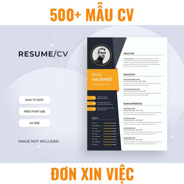 500+ Mẫu CV – đơn xin việc